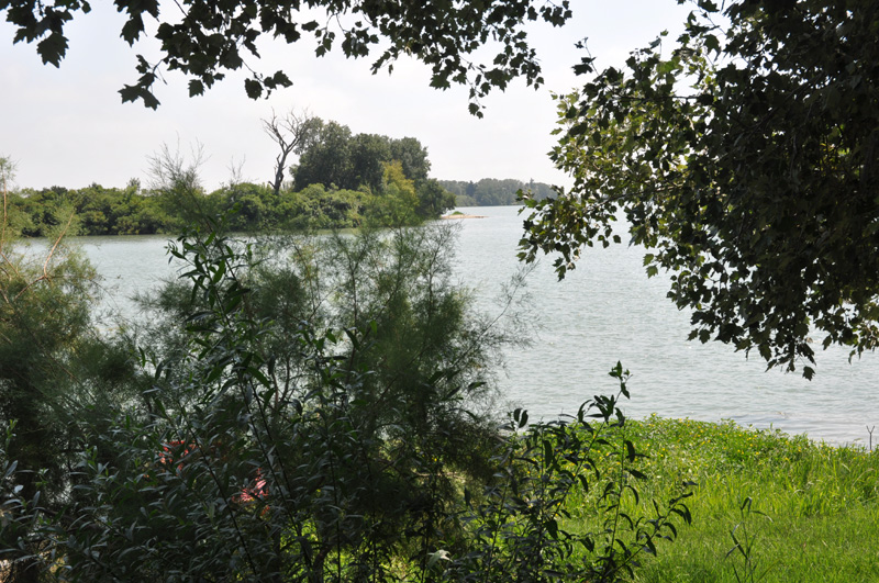 Rhone wels Waller