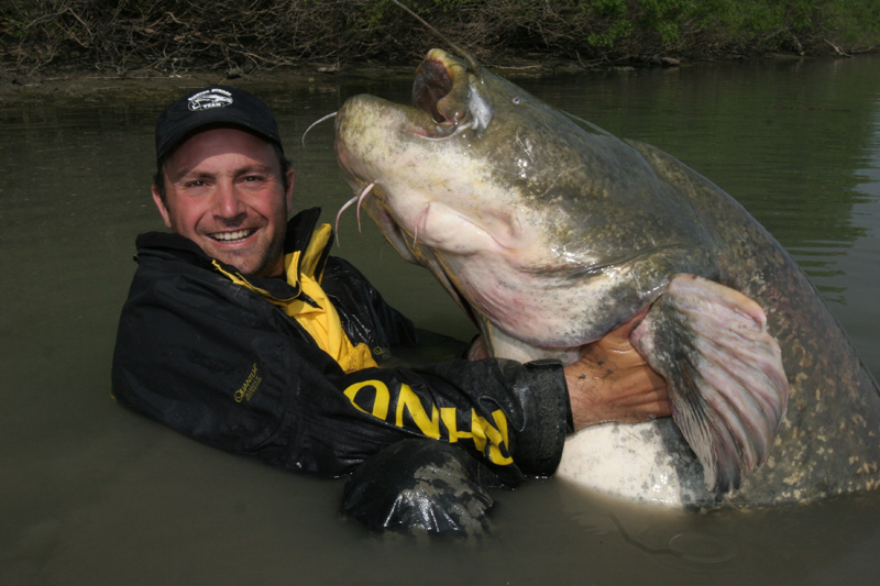 catfish rhone delta
